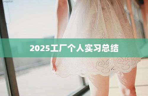 2025工厂个人实习总结