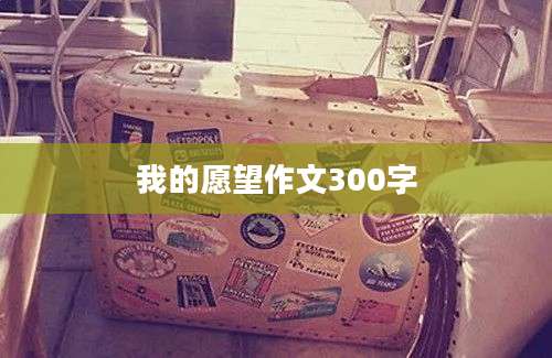 我的愿望作文300字