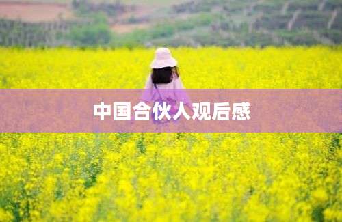 中国合伙人观后感