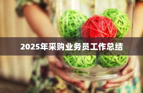 2025年采购业务员工作总结