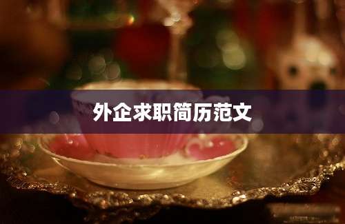 外企求职简历范文