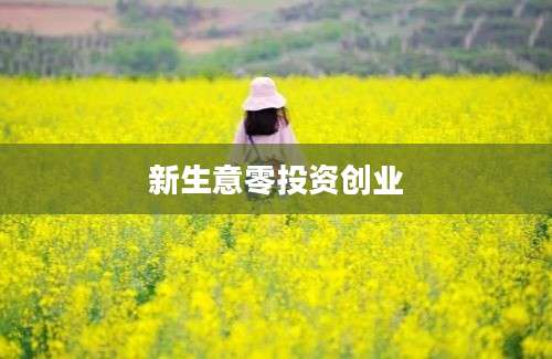 新生意零投资创业