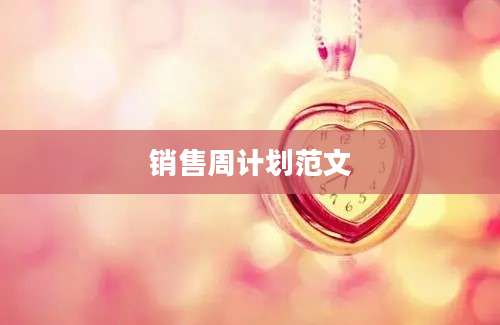 销售周计划范文