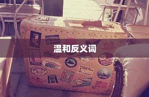 温和反义词