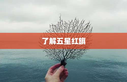 了解五星红旗