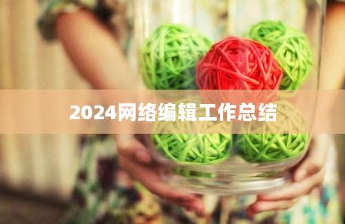 2024网络编辑工作总结