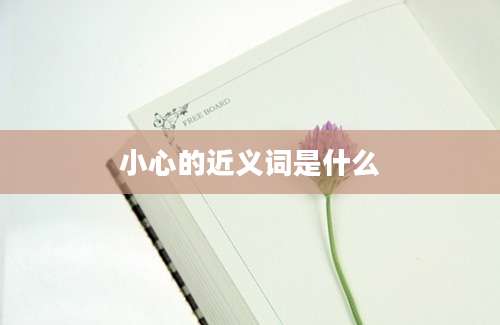 小心的近义词是什么