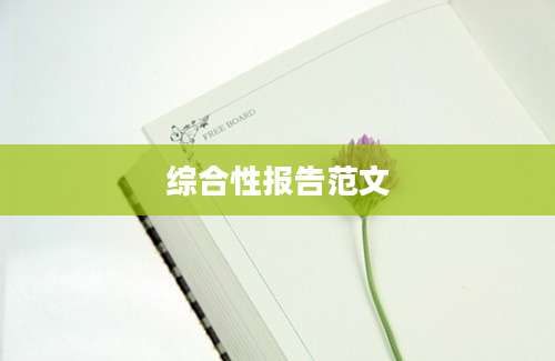 综合性报告范文