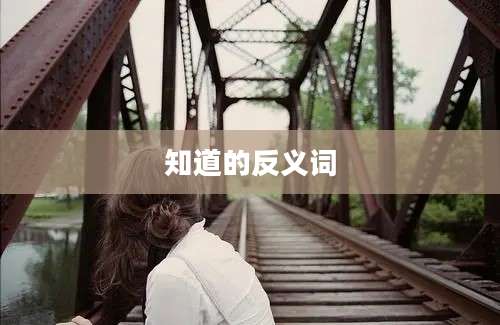 知道的反义词