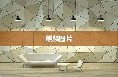 麒麟图片