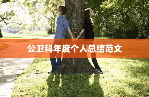 公卫科年度个人总结范文