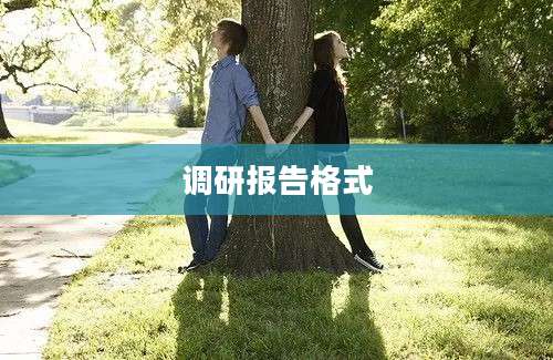 调研报告格式