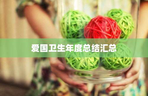 爱国卫生年度总结汇总