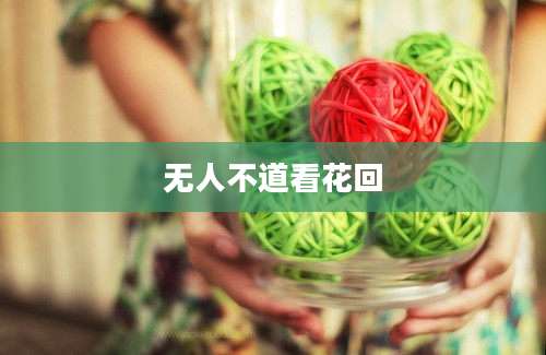 无人不道看花回