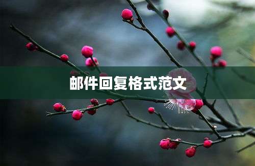 邮件回复格式范文