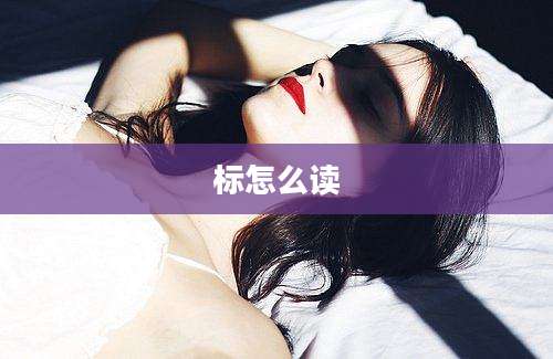 标怎么读
