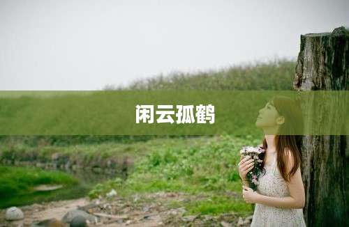闲云孤鹤