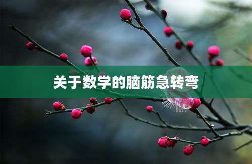关于数学的脑筋急转弯