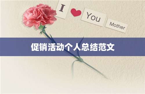 促销活动个人总结范文