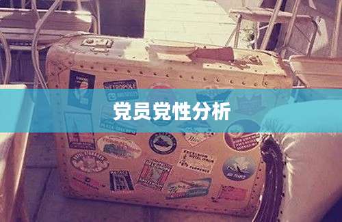 党员党性分析