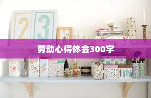劳动心得体会300字
