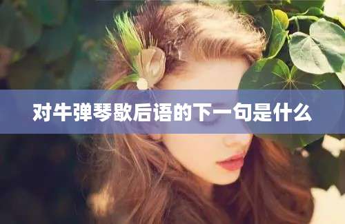对牛弹琴歇后语的下一句是什么