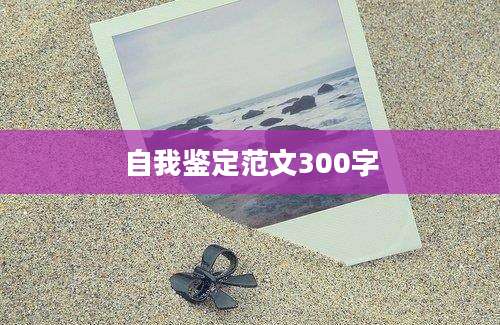 自我鉴定范文300字