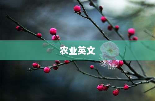 农业英文