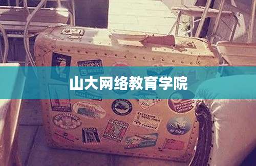 山大网络教育学院