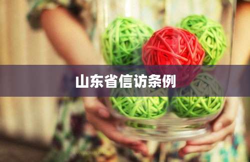 山东省信访条例