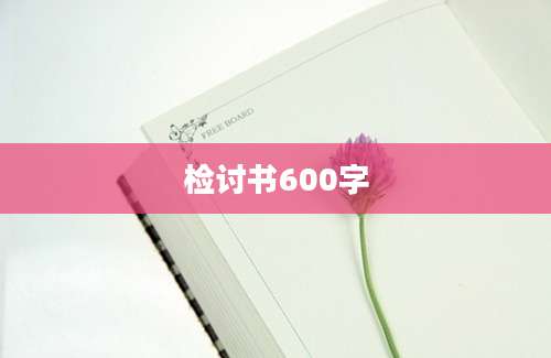 检讨书600字