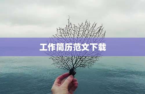 工作简历范文下载