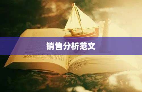 销售分析范文