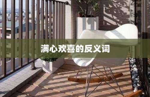 满心欢喜的反义词