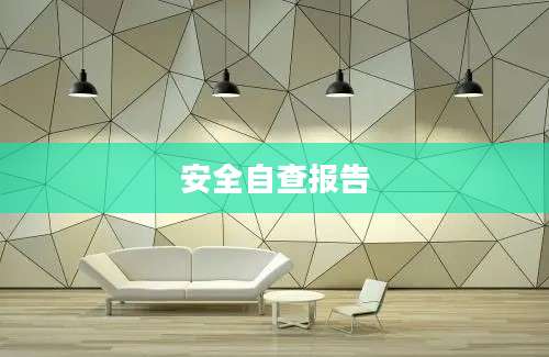 安全自查报告