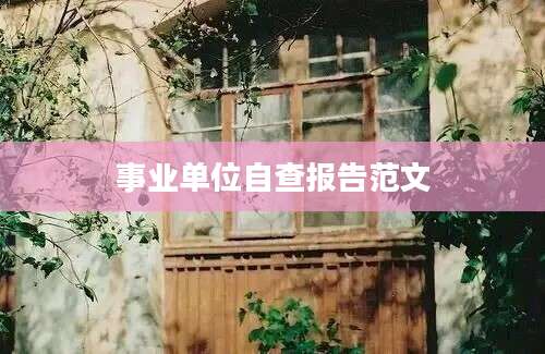 事业单位自查报告范文
