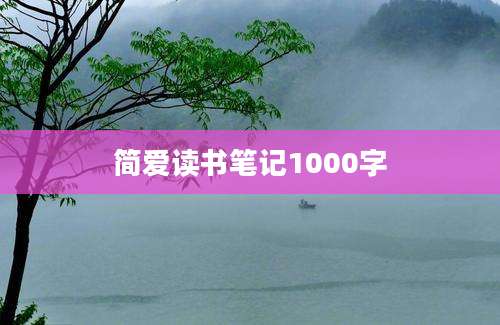 简爱读书笔记1000字