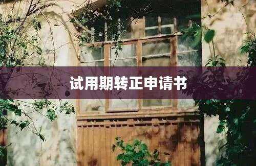 试用期转正申请书