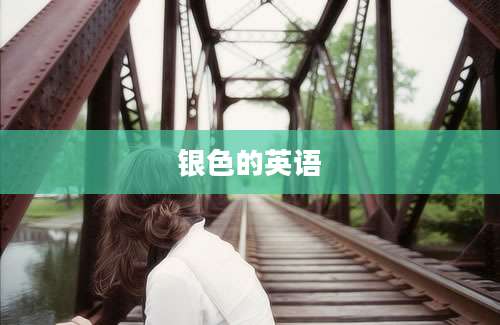 银色的英语