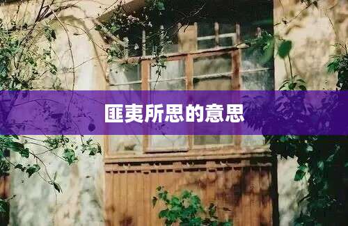 匪夷所思的意思