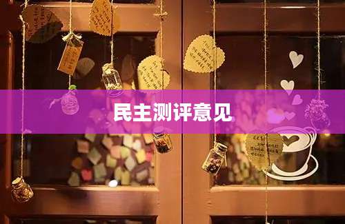 民主测评意见
