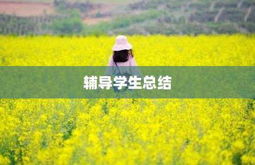 辅导学生总结