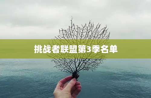 挑战者联盟第3季名单