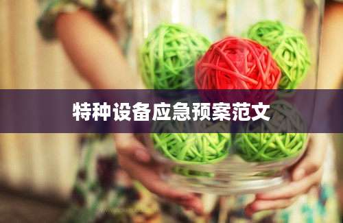 特种设备应急预案范文