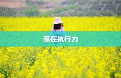 赢在执行力