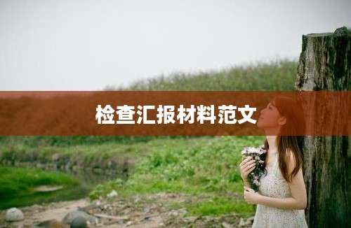 检查汇报材料范文