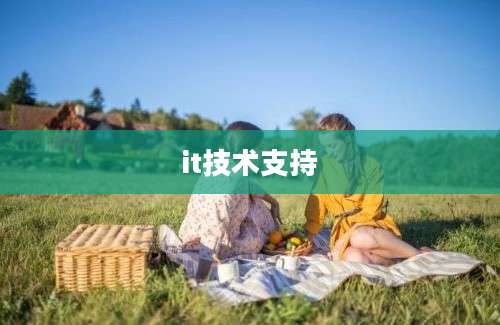 it技术支持
