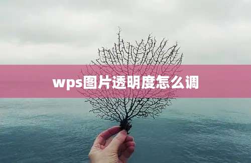 wps图片透明度怎么调