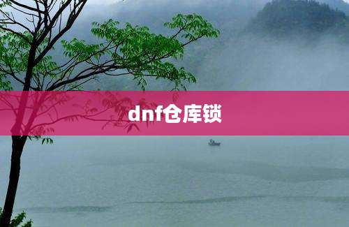 dnf仓库锁