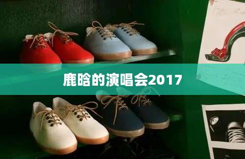 鹿晗的演唱会2017